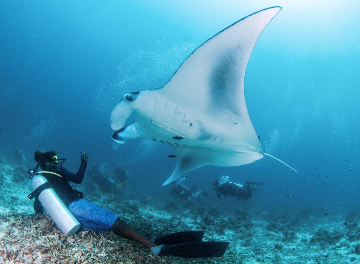 Hotel South Ari Dive Center Dhangethi Zewnętrze zdjęcie