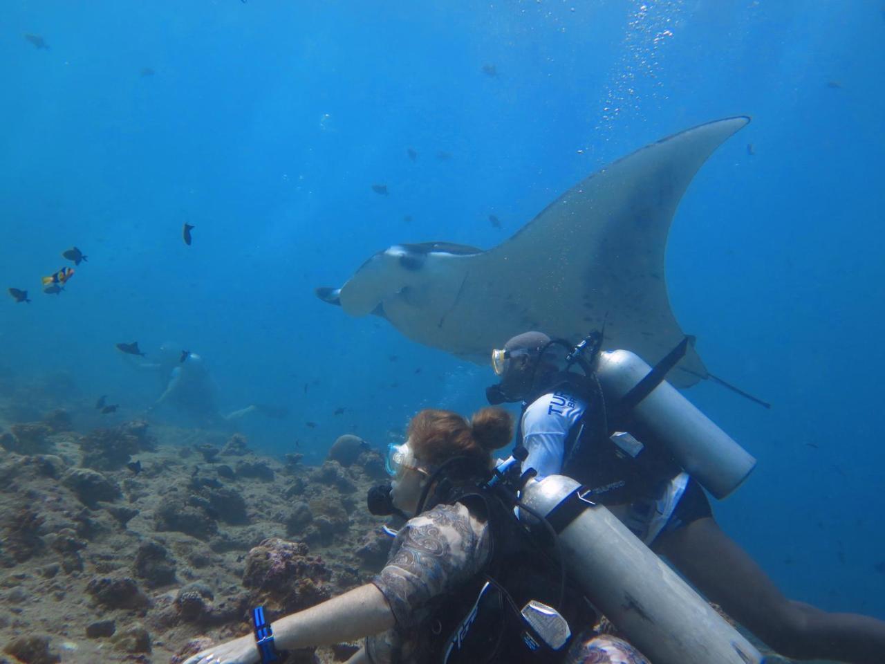 Hotel South Ari Dive Center Dhangethi Zewnętrze zdjęcie