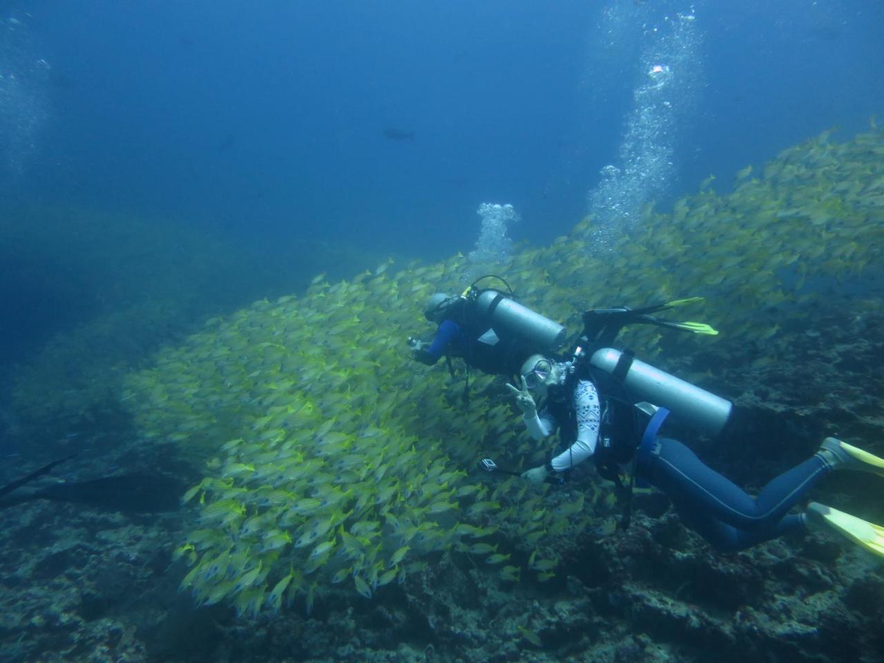 Hotel South Ari Dive Center Dhangethi Zewnętrze zdjęcie