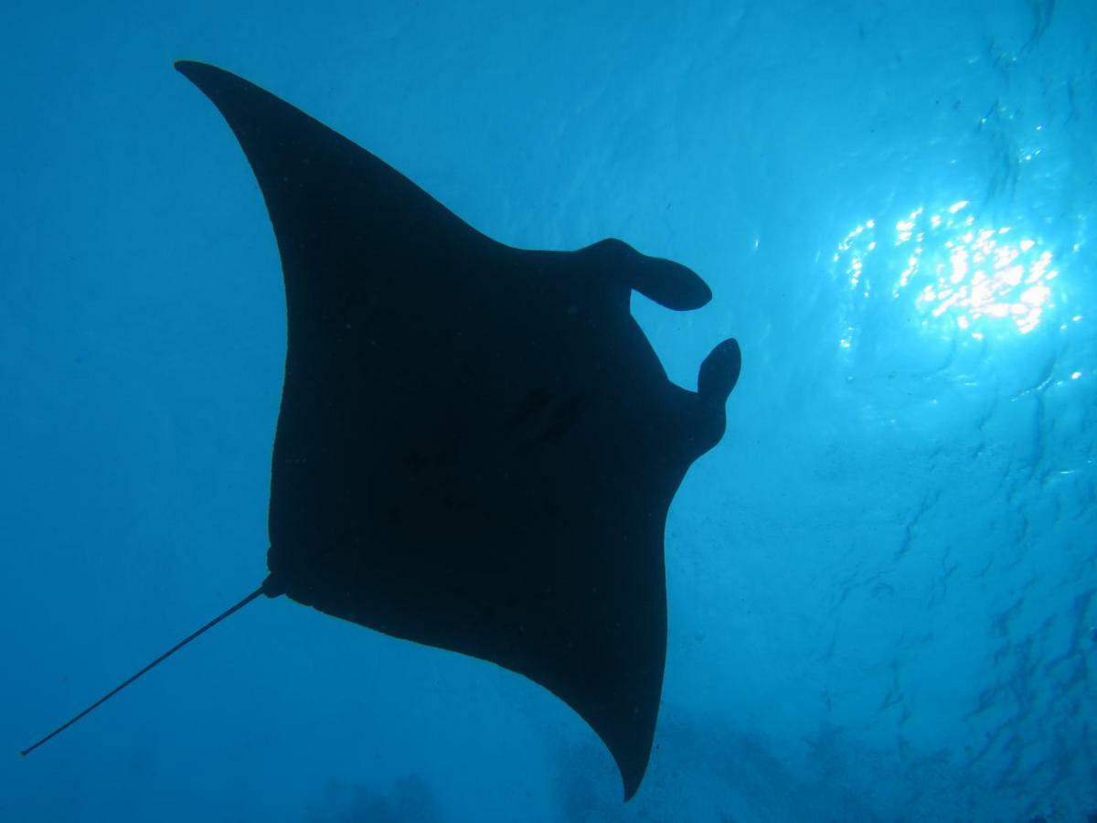 Hotel South Ari Dive Center Dhangethi Zewnętrze zdjęcie