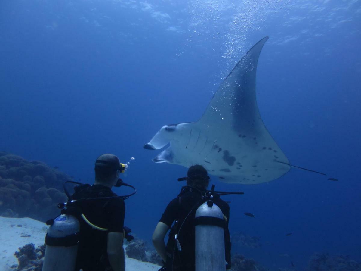 Hotel South Ari Dive Center Dhangethi Zewnętrze zdjęcie