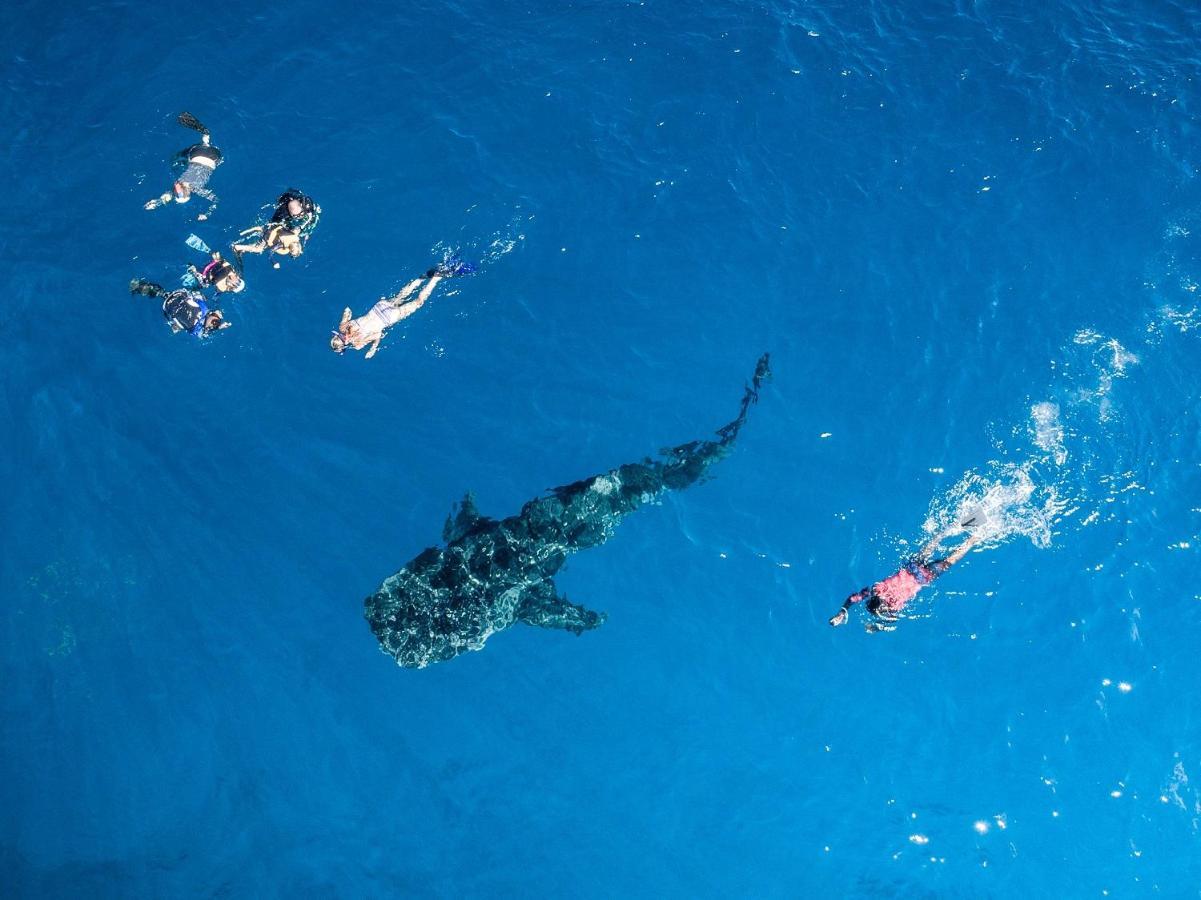 Hotel South Ari Dive Center Dhangethi Zewnętrze zdjęcie